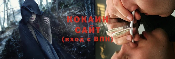 мдпв Бронницы