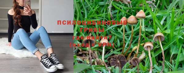 мдпв Бронницы