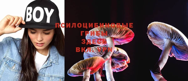 мдпв Бронницы